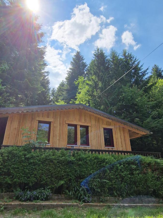 Chalet De La Foret 1 A 6 Pers Saint-Sauveur  Екстер'єр фото